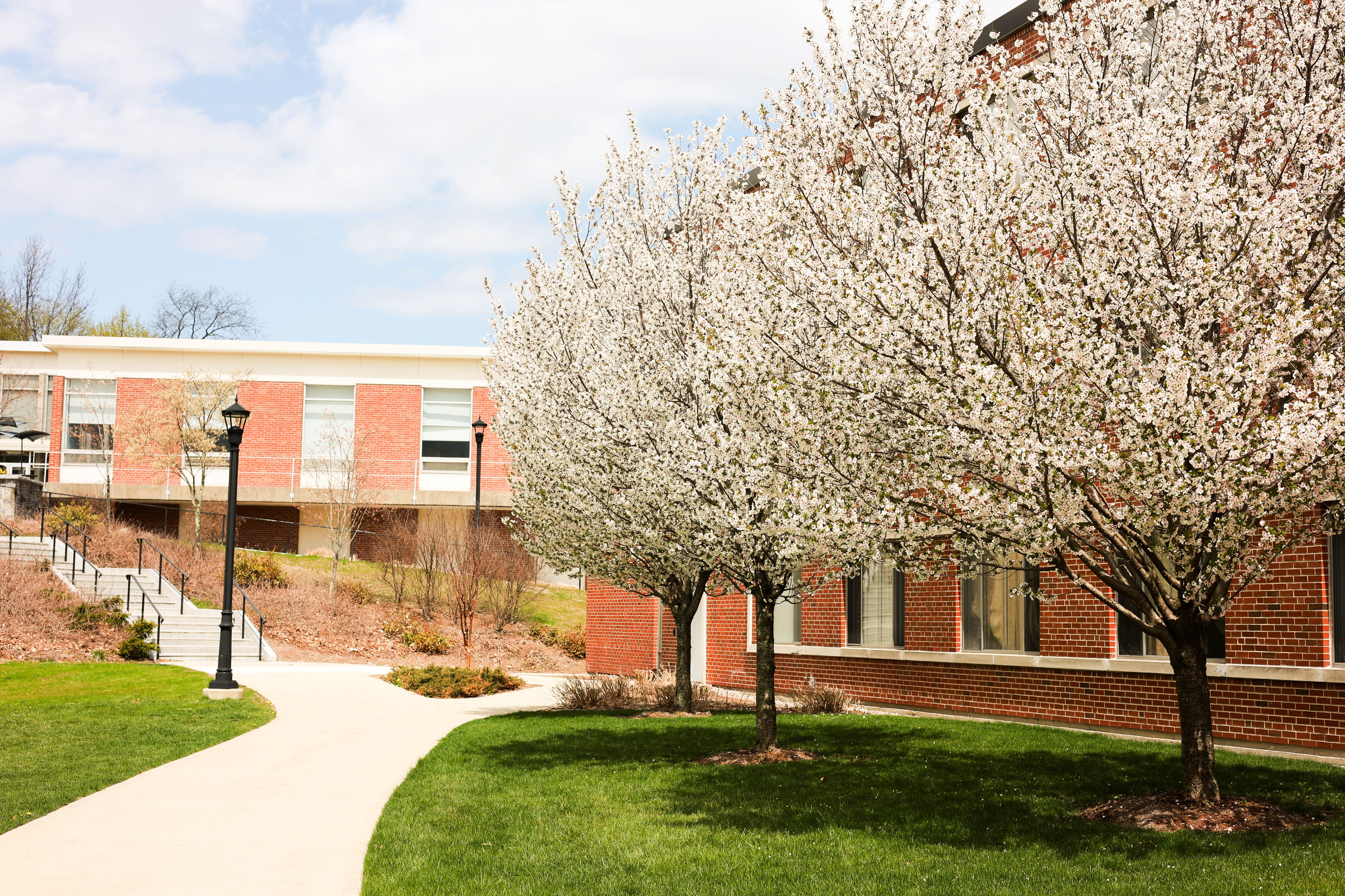 The university
